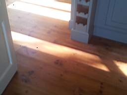 fkillineybeforeinternal 1750.jpg